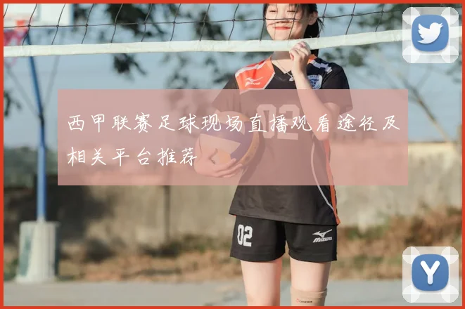 西甲联赛足球现场直播观看途径及相关平台推荐