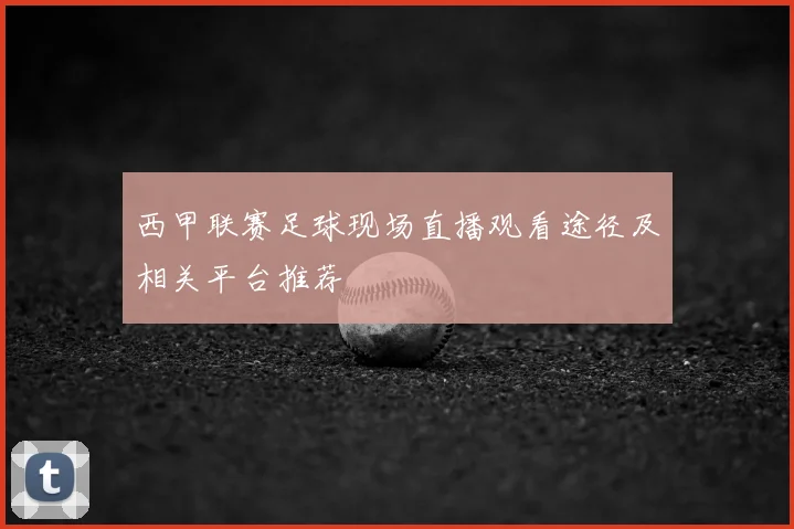 西甲联赛足球现场直播观看途径及相关平台推荐