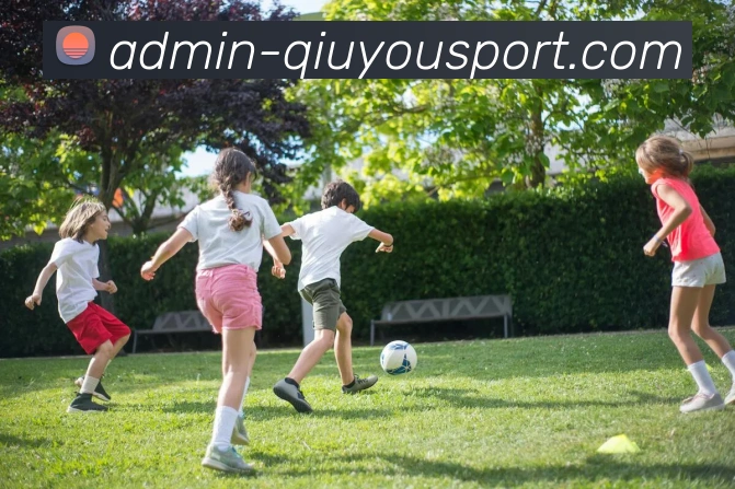 球友会平台生态图